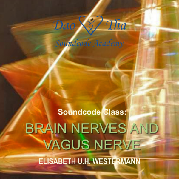 Brain nerves and Vagus nerve (Soundcode class)