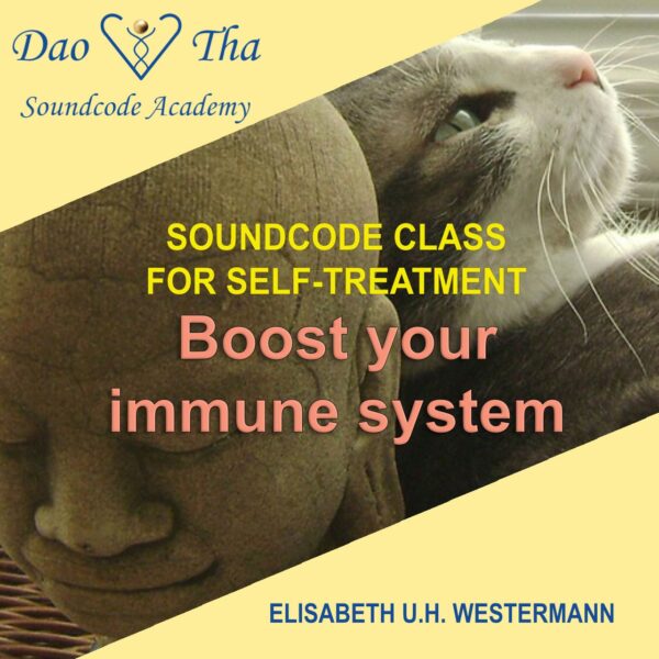Boost your immune system on all levels