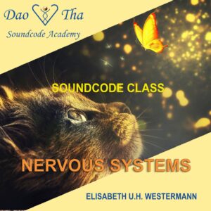 Nervous systems (Soundcode class)