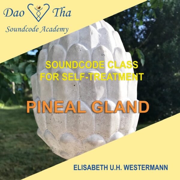 Soundcode class for self treatment - The Pineal Gland