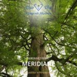 Meridiane (Klangcode Seminar)