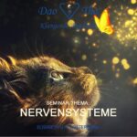 Nervensysteme (Klangcode Seminar)
