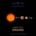 Organe (Klangcode Seminar)