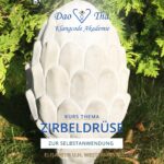 Zirbeldrüse (Online Kurs)